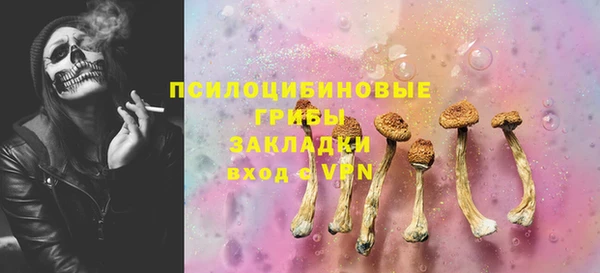 PSILOCYBIN Волоколамск