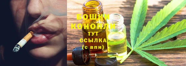 ГАЛЛЮЦИНОГЕННЫЕ ГРИБЫ Беломорск