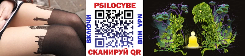 Купить где  Подпорожье  Галлюциногенные грибы Psilocybe 
